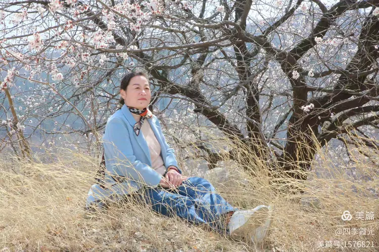 走进泉子杏花林(一)